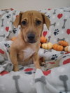 Lilly - Photo 3