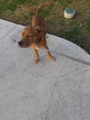 Jessie - Photo 3