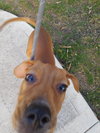 Jessie - Photo 4