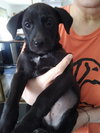 Jolly Jake - Photo 4