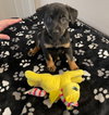 Lil Lola - Photo 3