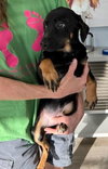 Lil Lola - Photo 2
