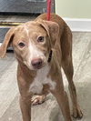 Sandy - Photo 2