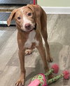 Sandy - Photo 4
