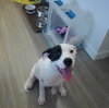 Lola - Photo 1