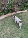Sparkles - Photo 4