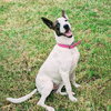 Sparkles aka Mi Amora - Photo 1