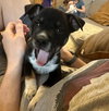Otis - Photo 1