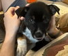 Otis - Photo 2