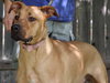 Sulley - Photo 3