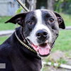 Chance - Photo 1