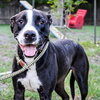 Chance - Photo 2