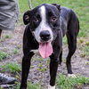 Chance - Photo 3
