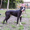 Chance - Photo 4