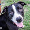 Chance - Photo 5