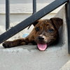 Rubbles - Photo 1