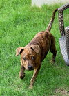 Rubbles - Photo 2
