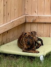 Rubbles - Photo 3