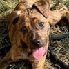 Rubbles - Photo 4