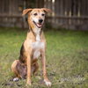 Jelly Bean - Photo 4