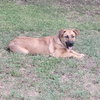 Max - Photo 8