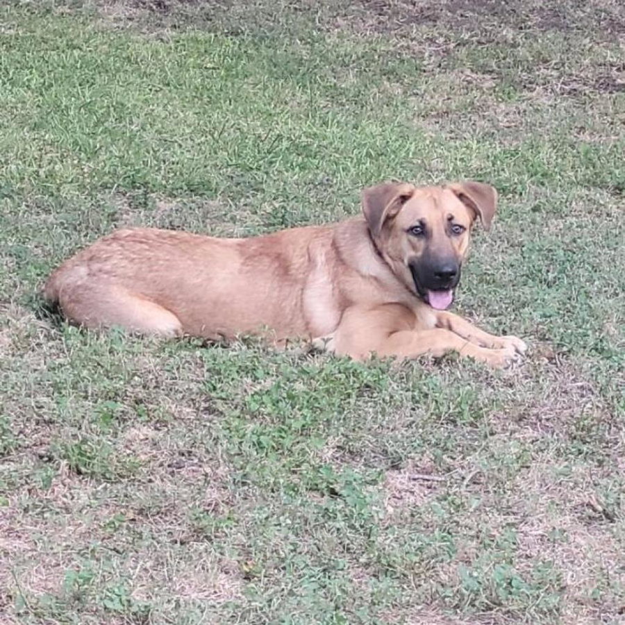 Max