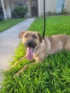 Max - Photo 4