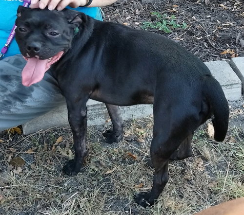 Hank photo 5