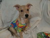 Tricia - Photo 5