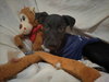 Stanley - Photo 6