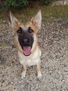 Patty1 - Photo 6