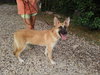 Patty1 - Photo 5