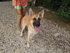 Patty1 - Photo 8