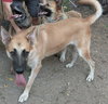 Patty1 - Photo 9
