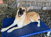 Patty1 - Photo 3