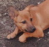 Simon - Photo 3
