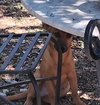 Simon - Photo 5