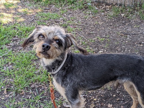 Photo 4 of Chewy
