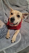 Fiona - Photo 3