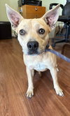 Fiona - Photo 4