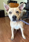 Fiona - Photo 5