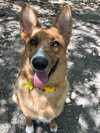 Lucy - Photo 2