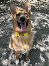 Lucy - Photo 5