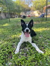 Maverick - Photo 1