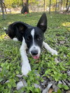 Maverick - Photo 2