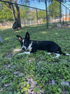Maverick - Photo 3