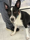 Maverick - Photo 4