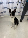 Maverick - Photo 6
