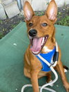 Bruno - Photo 2