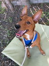 Bruno - Photo 4